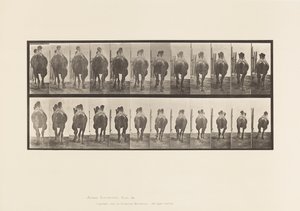 Tablica 742. Wielbłąd dwugarbny; A, regały; B, Galopujący autorstwa Eadweard Muybridge