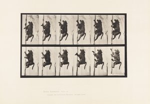 Płyta 749. Pawian; Wspinaczka po słupie autorstwa Eadweard Muybridge