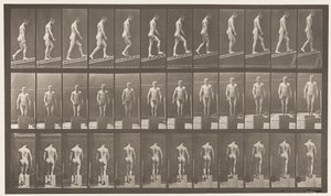 Płyta 74. Rosnąco nachylenie, kąt 1 w 4 autorstwa Eadweard Muybridge