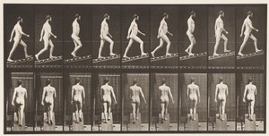 Płyta 75. Wznosząca się nachylenie, kąt 1 w 4, 1872-1885 autorstwa Eadweard Muybridge