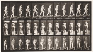 Płyta 77. Wznosząca się nachylenie autorstwa Eadweard Muybridge