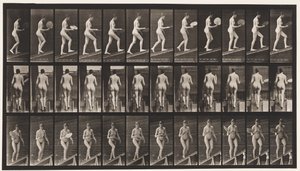 Płyta 78. Rosnąca nachylenie, Flirtujący wachlarz, 1872-1885 autorstwa Eadweard Muybridge