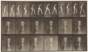 Płyta 79. Wznosząca się nachylenie autorstwa Eadweard Muybridge