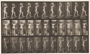Płyta 80. Wznosząca się nachylenie autorstwa Eadweard Muybridge