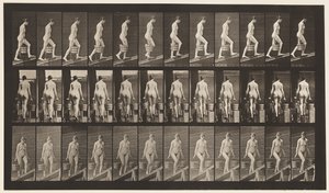 Płyta 81. Wznosząca się pochylnia. autorstwa Eadweard Muybridge