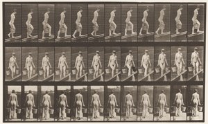 Płyta 82. Wznoszące się nachylenie, wiadro wody w każdej ręce autorstwa Eadweard Muybridge