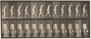 Płyta 84. Wznosząca się pochylnia, wiadro z wodą w prawej ręce autorstwa Eadweard Muybridge