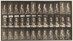 Płyta 87. Wznoszące się nachylenie, wiadro wody w każdej ręce autorstwa Eadweard Muybridge