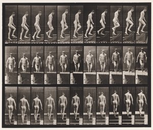 Płyta 88. Schody wznoszące, 1872-1885 autorstwa Eadweard Muybridge