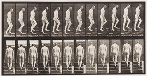 Płyta 89. Schody wznoszące autorstwa Eadweard Muybridge