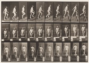 Płyta 90. Wstępujące schody autorstwa Eadweard Muybridge