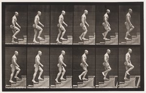 Płyta 91. Wstępujące schody autorstwa Eadweard Muybridge