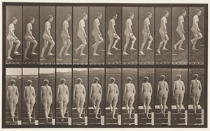 Płyta 92. Wstępujące schody autorstwa Eadweard Muybridge