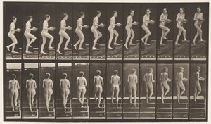 Płyta 94. Schody wznoszące rozglądające się dookoła; Umywalka w rękach autorstwa Eadweard Muybridge