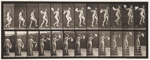 Płyta 96. Schody wznoszące rozglądające się; Machająca chusteczka autorstwa Eadweard Muybridge