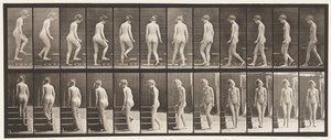 Tablica 98. Schody zakręcane i wstępujące, 1872-1885 autorstwa Eadweard Muybridge