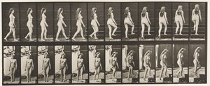 Płyta 99. Schody skrętne i wstępujące autorstwa Eadweard Muybridge