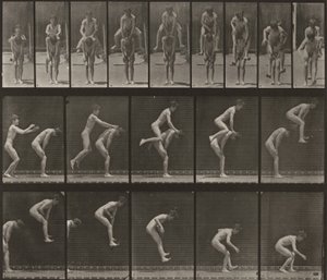  autorstwa Eadweard Muybridge