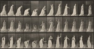 Tablica numer 306. Podnoszenie piłki i rzucanie nią autorstwa Eadweard Muybridge
