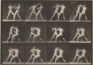 Płyta nr 340. Boks, otwarta dłoń (buty), 1887 (zdjęcie) autorstwa Eadweard Muybridge