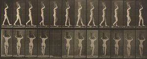  autorstwa Eadweard Muybridge