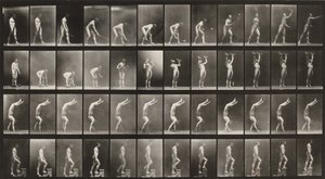 Tablica numer 488. A: Tenis ziemny. B: Hantle. C: Chodzenie na rękach. D: Wchodzenie po schodach autorstwa Eadweard Muybridge