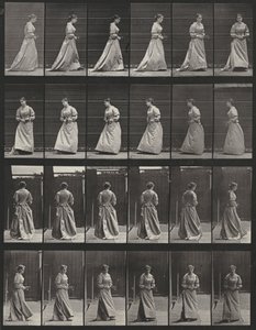 Tablica numer 48. Chodzenie i obracanie się z bukietem w obu rękach autorstwa Eadweard Muybridge