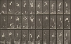 Numer rejestracyjny 504. Schody wchodzące i schodzące autorstwa Eadweard Muybridge