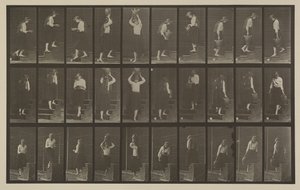 Numer rejestracyjny 504. Schody wchodzące i schodzące autorstwa Eadweard Muybridge