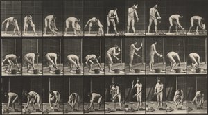 Płyta numer 506. Murowanie, 1887 (zdjęcie) autorstwa Eadweard Muybridge