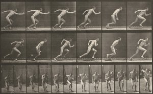  autorstwa Eadweard Muybridge