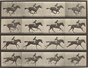 Numer rejestracyjny 626. Galop, klacz czystej krwi gniadej, Annie G. autorstwa Eadweard Muybridge