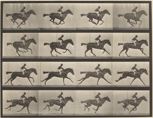 Tablica numer 626. Galop, pełnej krwi gniada klacz, Annie G. autorstwa Eadweard Muybridge