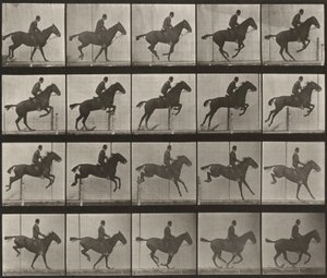Tablica numer 639. „Daisy” skacząca przez przeszkodę, osiodłana autorstwa Eadweard Muybridge