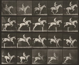 Tablica numer 642. „Pandora” skacząca przez przeszkodę, osiodłana; jeździec nagi autorstwa Eadweard Muybridge
