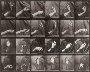 Sekwencja z ruchem ręki, płyta 535 z Animal Locomotion (kolotyp) autorstwa Eadweard Muybridge