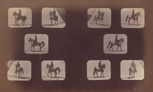 Badania skrótów perspektywicznych. Konie. Pieszy. Mahometa. nr 119-120 autorstwa Eadweard Muybridge