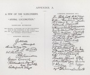 Subskrybenci Animal Locomotion autorstwa Eadwearda Muybridge