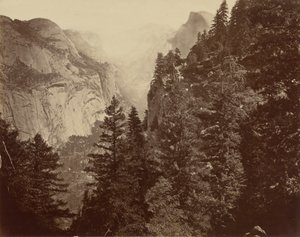 Kanion Tenaya z Union Point, Dolina Yosemite, 1872 (zdjęcie) autorstwa Eadweard Muybridge