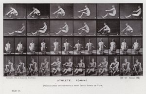 Postać ludzka w ruchu: sportowiec, wioślarstwo (zdjęcie czarno-białe) autorstwa Eadweard Muybridge