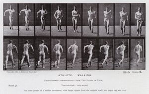 Postać ludzka w ruchu: sportowiec, chodzenie (zdjęcie czarno-białe) autorstwa Eadweard Muybridge