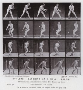Postać ludzka w ruchu: sportowiec, łapie piłkę, „błąd” (zdjęcie czarno-białe) autorstwa Eadweard Muybridge