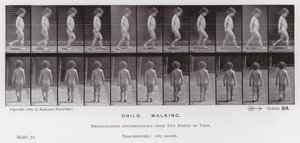 Postać ludzka w ruchu: dziecko, chodzenie (zdjęcie czarno-białe) autorstwa Eadweard Muybridge