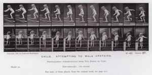 Postać ludzka w ruchu: dziecko, próbujące wejść na górę (zdjęcie czarno-białe) autorstwa Eadweard Muybridge