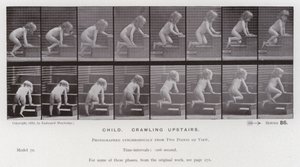 Ludzka postać w ruchu: dziecko, czołgające się po schodach (zdjęcie czarno-białe) autorstwa Eadweard Muybridge