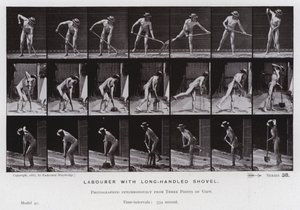 Postać ludzka w ruchu: Robotnik z łopatą z długim trzonkiem (zdjęcie czarno-białe) autorstwa Eadweard Muybridge