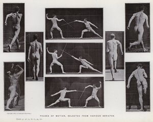 Figura ludzka w ruchu: fazy ruchu wybrane z różnych serii (zdjęcie czarno-białe) autorstwa Eadweard Muybridge