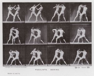 Postać ludzka w ruchu: pięściarze, boks (zdjęcie czarno-białe) autorstwa Eadweard Muybridge