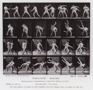 Postać ludzka w ruchu: pięściarze, boks (zdjęcie czarno-białe) autorstwa Eadweard Muybridge