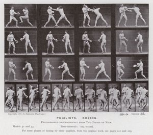 Postać ludzka w ruchu: pięściarze, boks (zdjęcie czarno-białe) autorstwa Eadweard Muybridge